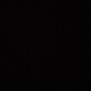 Meet your Posher, Gavin